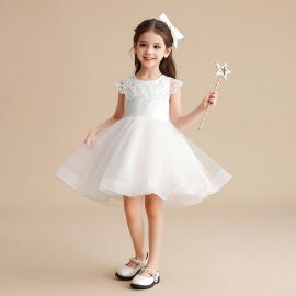 White Lace Collar Princess Dress - Elegant Party Wear for Little Girls