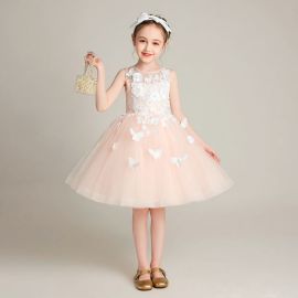 Kids Girl's Pink Tulle Dress with Lace Flowers & Butterflies - Princess Party Gown