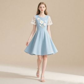 Elegant Light Blue Lace Sleeve Floral Embroidered A - Line Dress