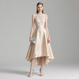 Elegant Champagne Lace & Satin High - Low Hem Evening Dress