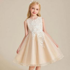 Elegant Champagne Kids Flower Girl Dress: Lace Applique & Tulle Skirt for Weddings/Parties