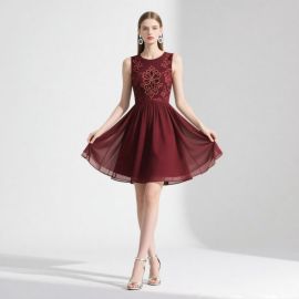 Elegant Burgundy Embroidered Sleeveless A - Line Short Dress